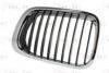 BMW 51137042961 Radiator Grille